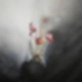 Stefano Mazzolini - Anthurium