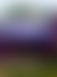 abduction: jung v. the x-files