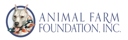 Screenshot 2025-07-15 114335.png