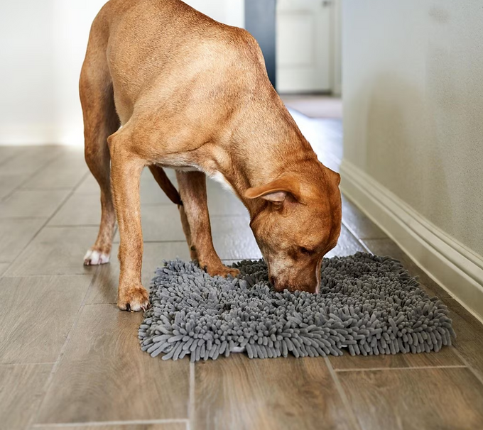 Screenshot 2024-01-15 110628.png