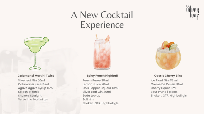 Sales kit slide for Silverleaf Gin showcasing possible cocktails illustrations and a premium product introduction layout.