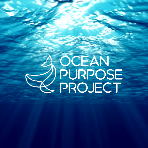Ocean Purpose Project Website_20250819_050429_0000.png