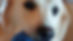 508459607_4101350366816675_3266617415290675594_n_edited.jpg