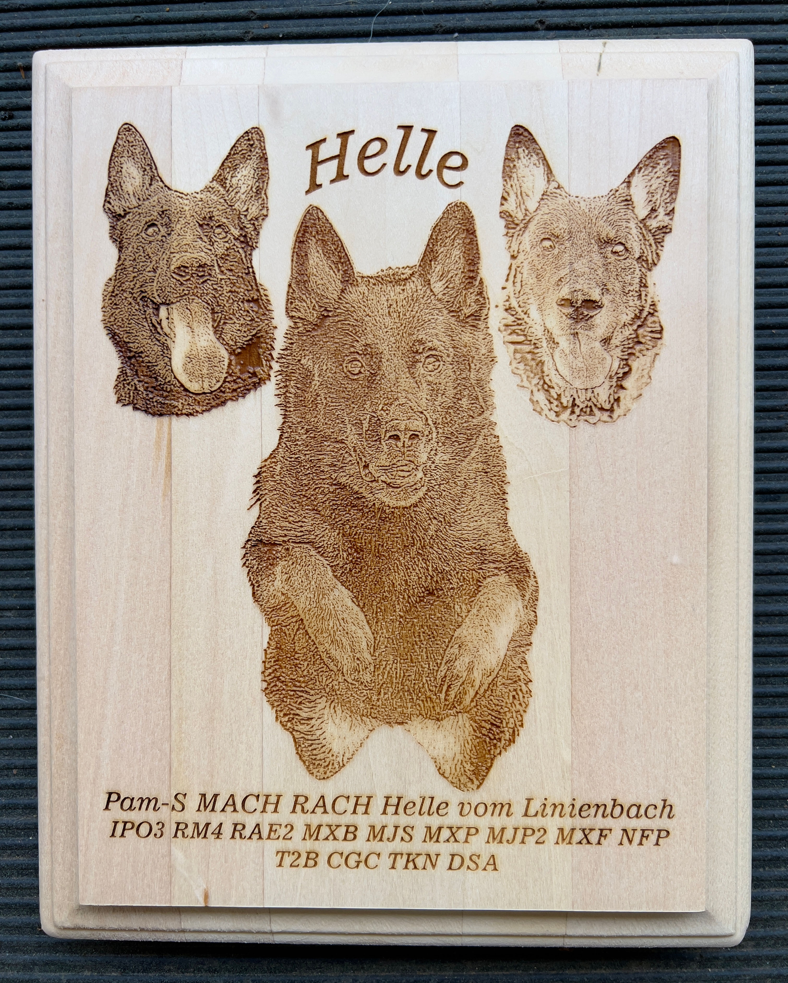 3/4"x8"x10" Basswood Plank or Profile Edge w Custom Etch