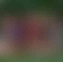 teen and senior photographer Hendersonville area