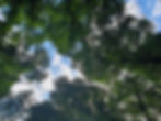 sky.jpg