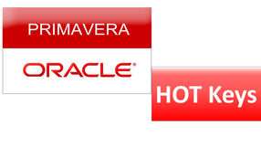 Useful Hot Keys In Primavera