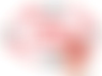 Top Reasons for Success & Failure in a Project