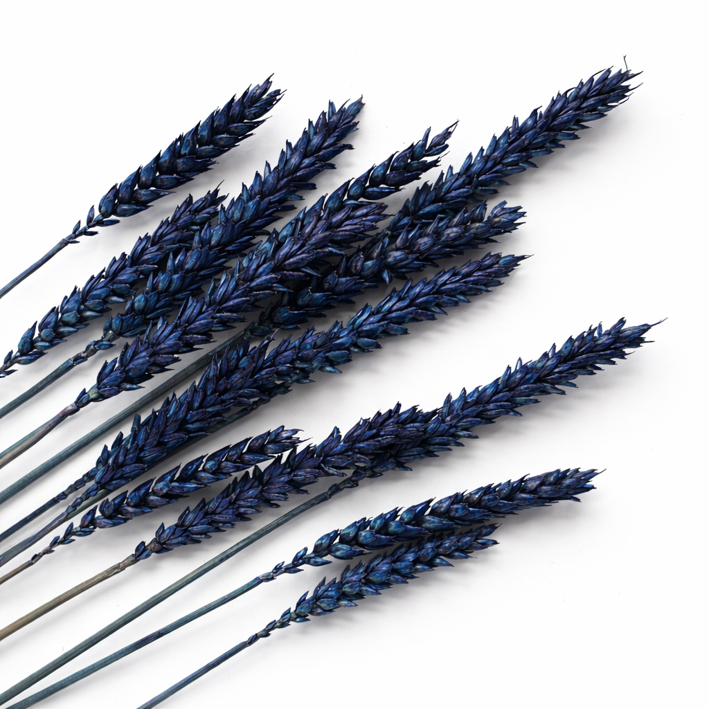 Navy Blue Dried Wheat Stems for Cake Styling Add On