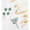 Topper, Charm & Flowers.png