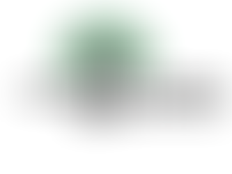 Time Flies...make the best of it.