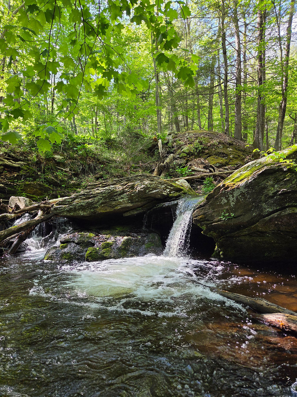 Serene waterfall showing the benefits of negative ions in nature