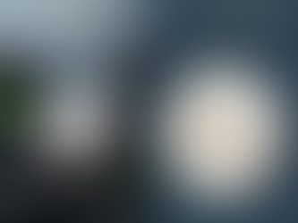 當珍珠遇上季節變換:變速增長模型的數學思考