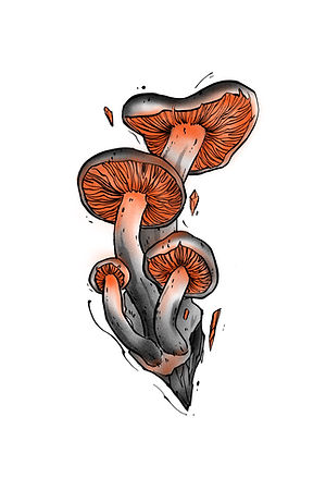 Návrh tetování – Pine, Black House Tattoo Praha