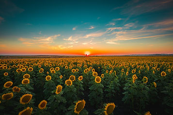 AdobeStock_305104859.jpeg