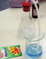 Junges Forschen 26.JPG