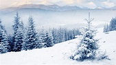 a snowy mountainside in the Adirondacks