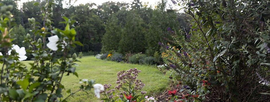 Flower garden in bloom