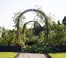 Beautiful kitchen garden with arch trellis