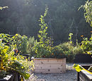 Small raised garden bed with obelisk