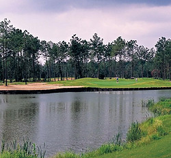 Indigo Creek.jpg