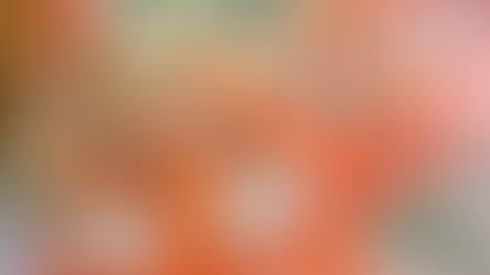 2026年カタログが公開されました！