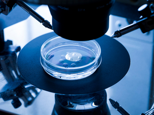Microinjection (ICSI)