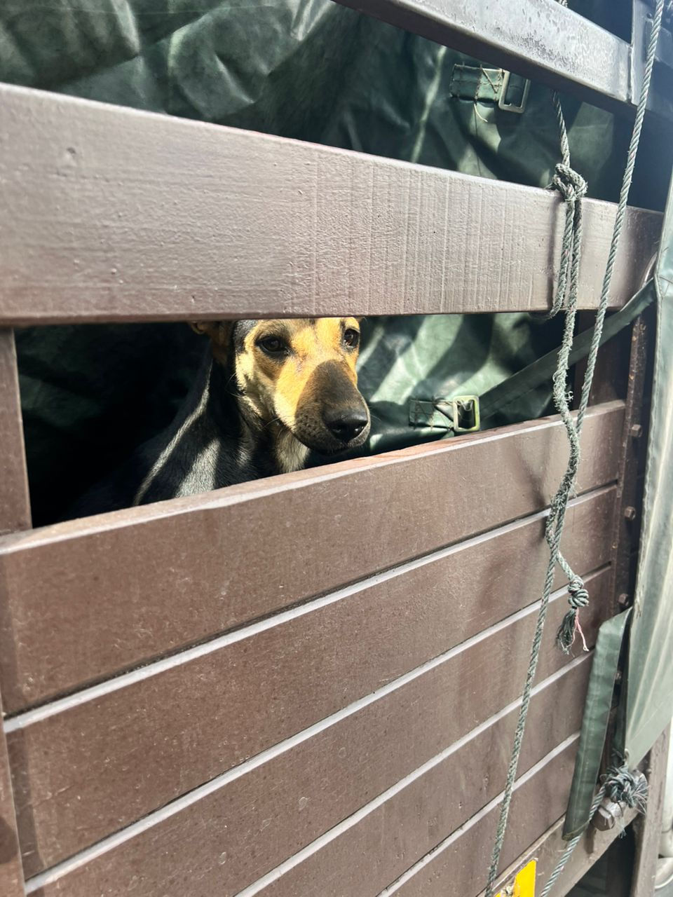 51f06c3c-ac88-4e94-95ef-6bc136c671ca