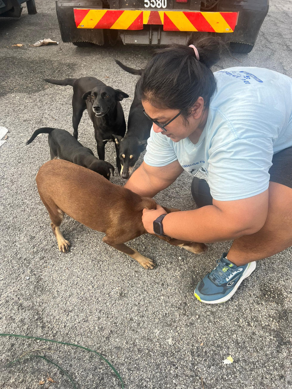 aed3bc76-704c-4a23-a9b3-84fc72bc762a