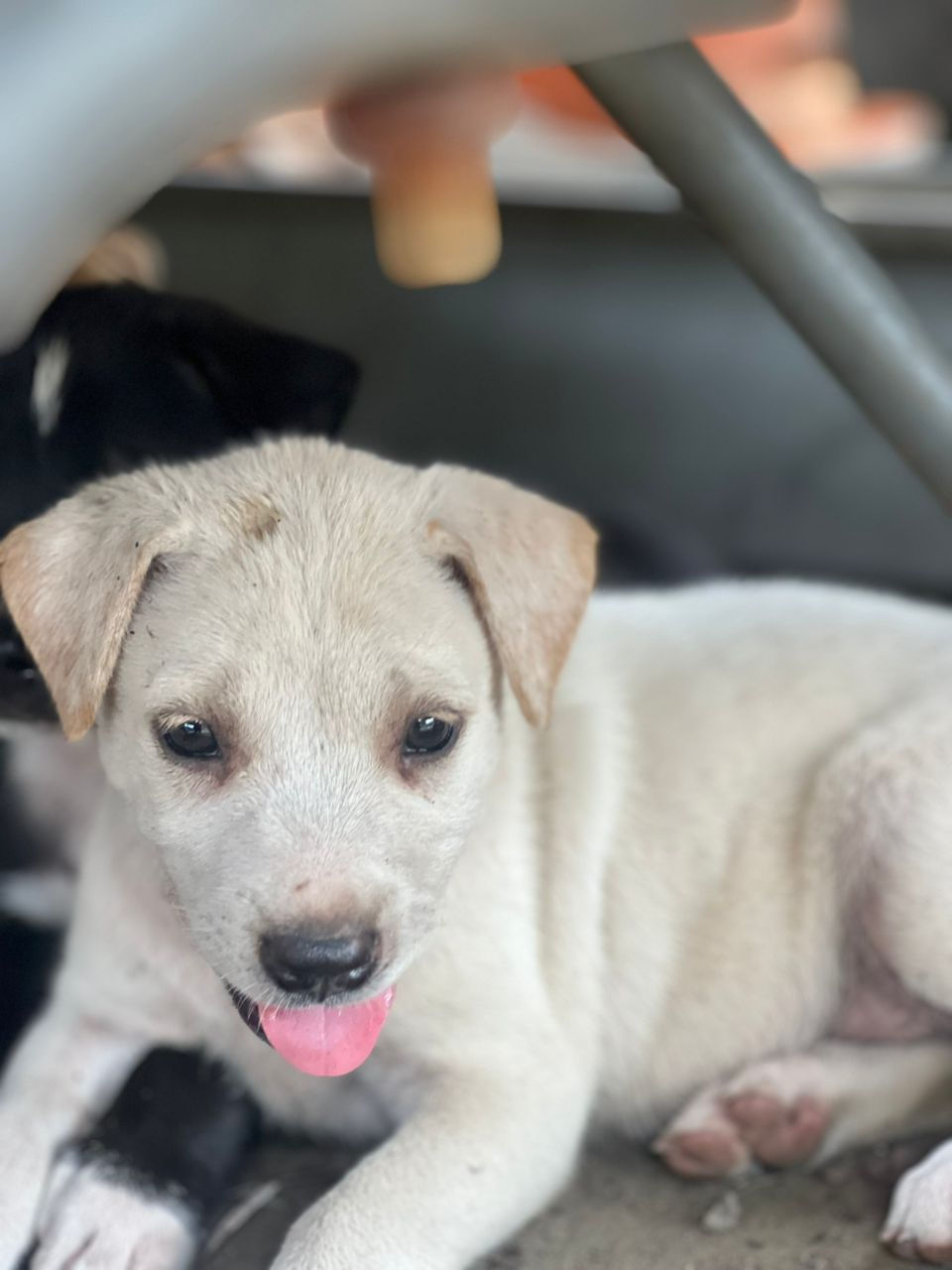 ea1a3f5b-b1cc-4fa0-b020-54d7974dc598