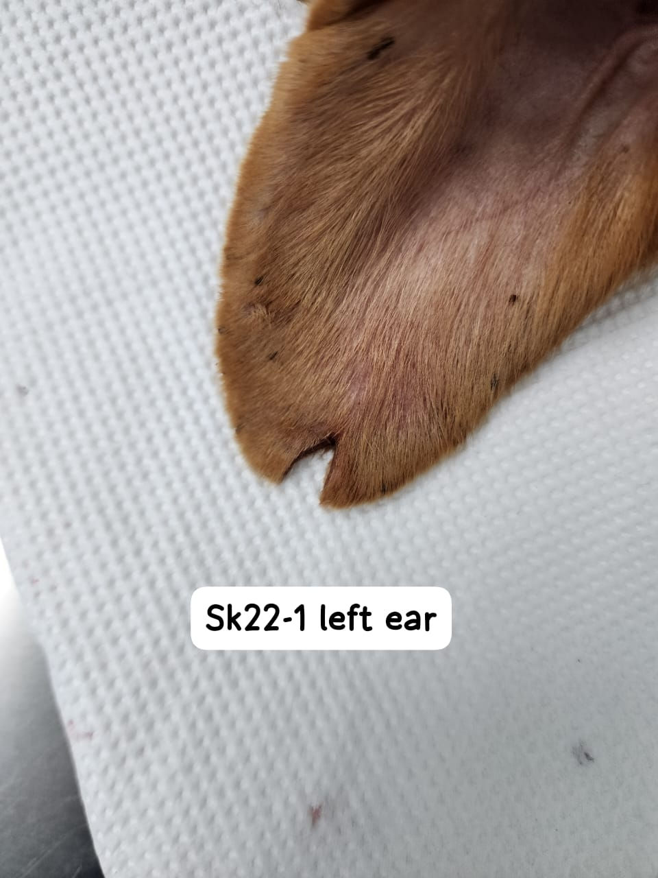 46a4d175-88db-4450-835f-d61d336f8212