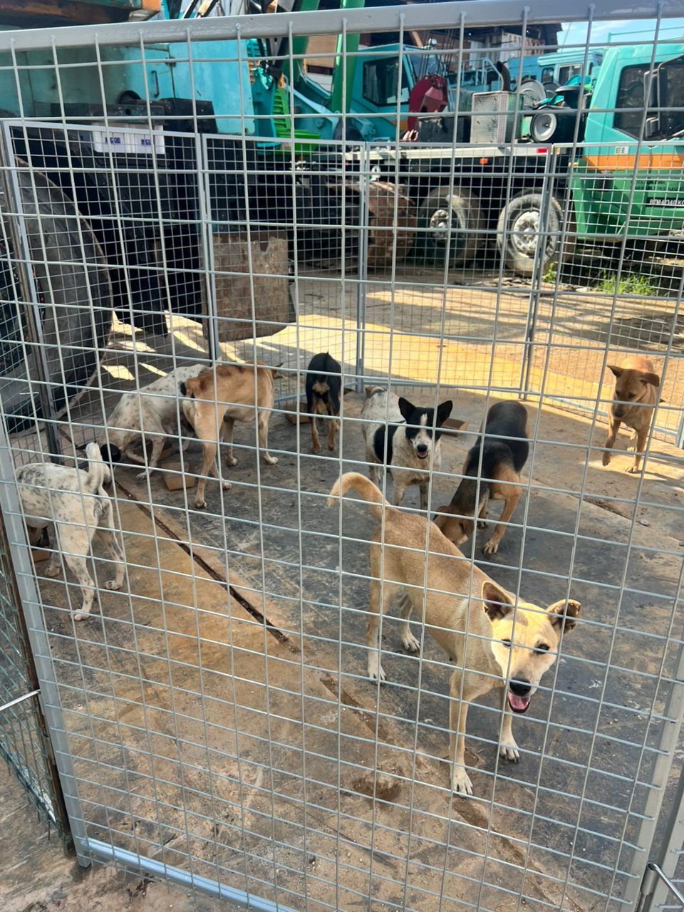 b711cb74-a24a-4e6f-b7d4-1f0f92821bbc (1)