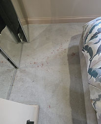 Before Carpet Clean by F&N Cleaning Solutions