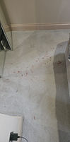 Before Carpet Clean by F&N Cleaning Solutions