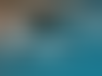 KI-Modelle verstehen: Wie Unternehmen heute von verschiedenen KI-Systemen profitieren