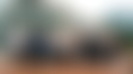 The Australia Summit. Year Two.