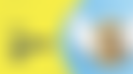 Should I Raise a SAFE, Convertible Note, or Priced Equity Round?