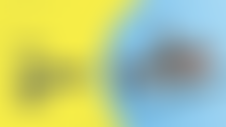 Why Don't All Startups Pursue Venture Funding?