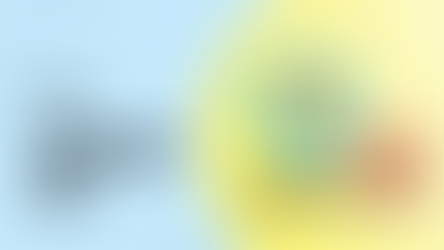 What Is Seed Money and How Do You Get It?