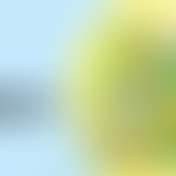 What Are Debt Warrants and Are They Good For Startups?