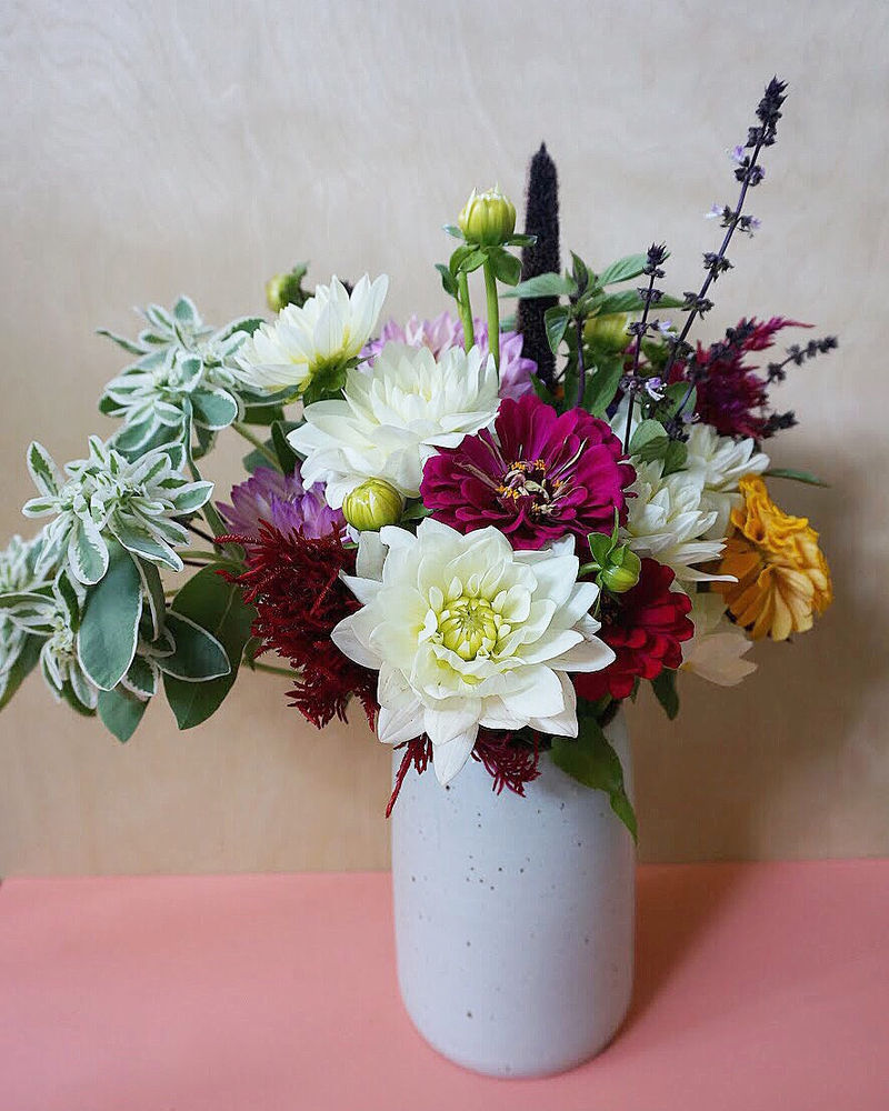 5 Tips for Keeping Your Flowers Fresh