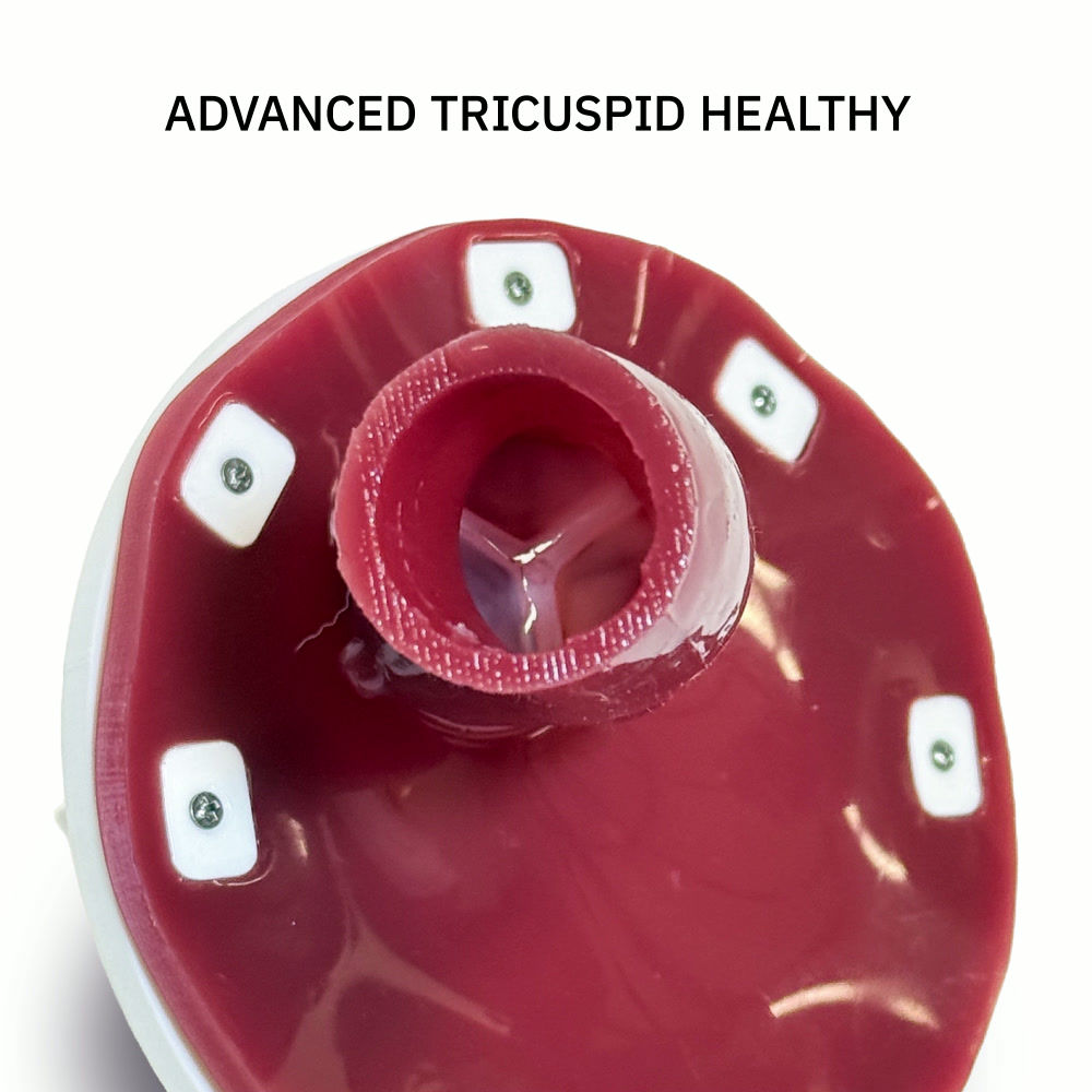 CarmoSIM™ ADVANCED Aortic Valve