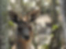 DSCN7314.JPG
