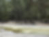 DSCN7315.JPG