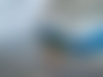 BAILARINA. ARTISTA. VIAJANTE.