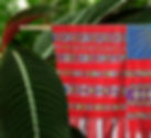 All things hidden background.jpg