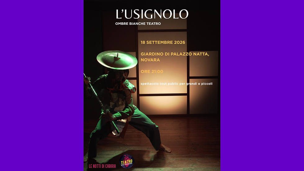 Spettacolo "L'usignolo" - Novara