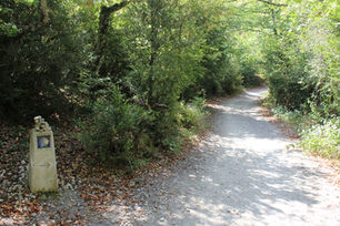 Ridere, che bellezza!!