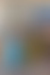 Santo domingo de la calzada - Belorado