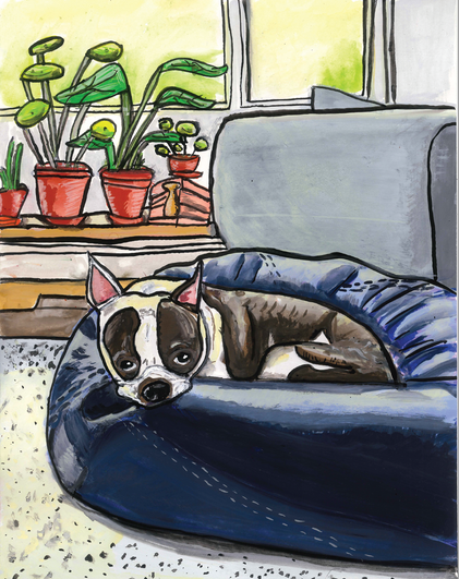 Boston terrier, French bulldog, pet portrait, painting